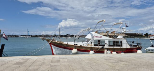 Contessa Contessa