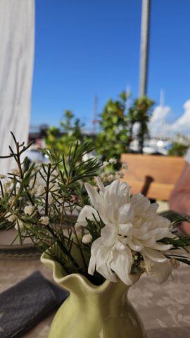 Blick vom Tisch Blick vom Tisch
